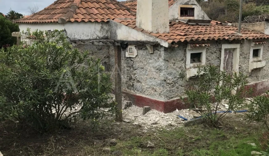 Terreno para Venda em Porto Santo Foto 15