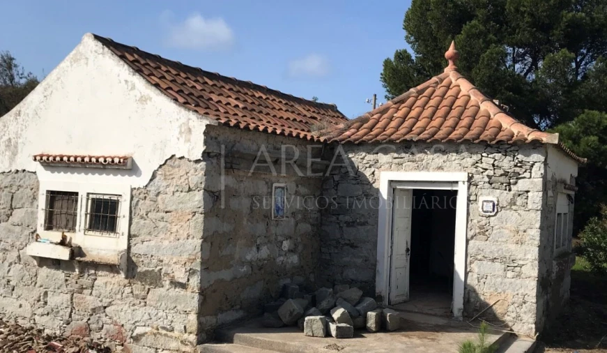 Terreno para Venda em Porto Santo Foto 17