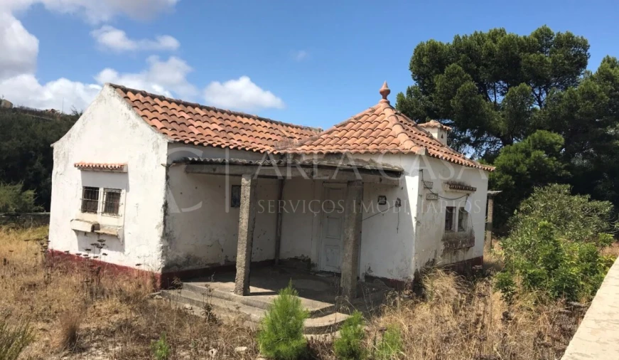 Terreno para Venda em Porto Santo Foto 27