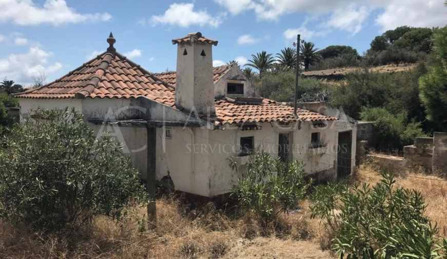 Terreno para Venda em Porto Santo Foto 28