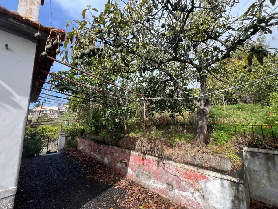 Quinta T3 para Venda em Estreito de Camara de Lobos Foto 8