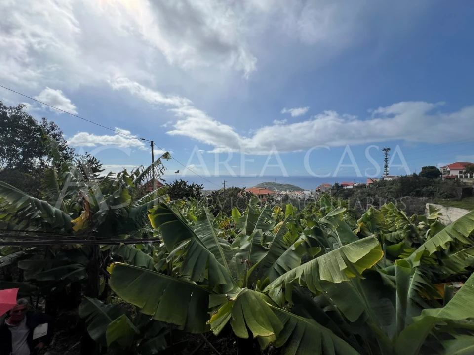Quinta T3 para Venda em Estreito de Camara de Lobos Foto 14