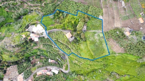 Quinta T3 para Venda em Estreito de Camara de Lobos