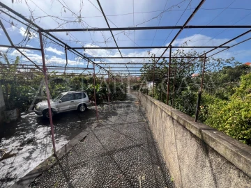 Quinta T3 para Venda em Estreito de Camara de Lobos