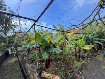 Quinta T3 para Venda em Estreito de Camara de Lobos