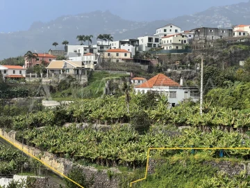 Quinta T3 para Venda em Estreito de Camara de Lobos