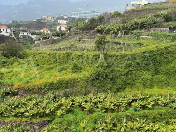 Quinta T3 para Venda em Estreito de Camara de Lobos