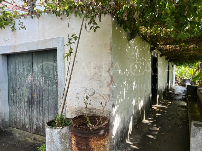 Quinta T3 para Venda em Estreito de Camara de Lobos Foto 4