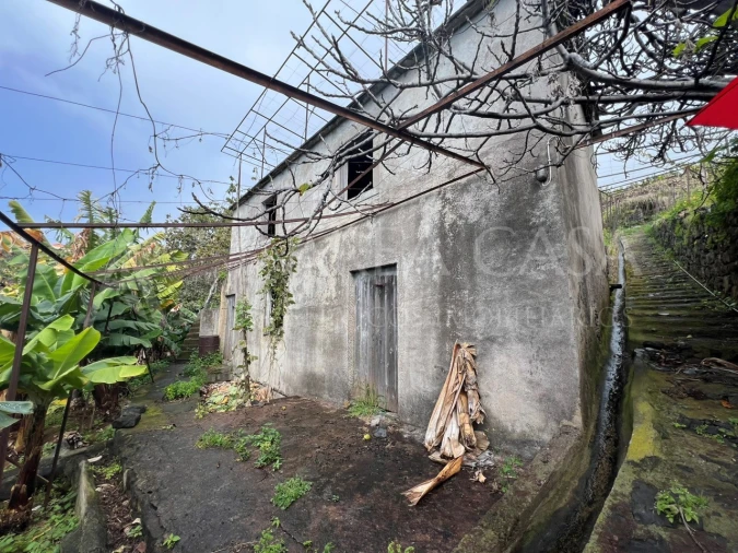 Quinta T3 para Venda em Estreito de Camara de Lobos Foto 12