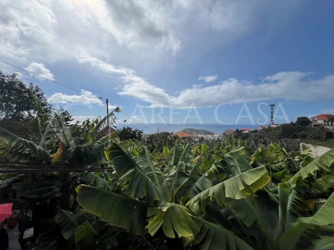 Quinta T3 para Venda em Estreito de Camara de Lobos Foto 14