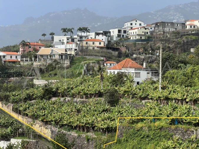 Quinta T3 para Venda em Estreito de Camara de Lobos Foto 17