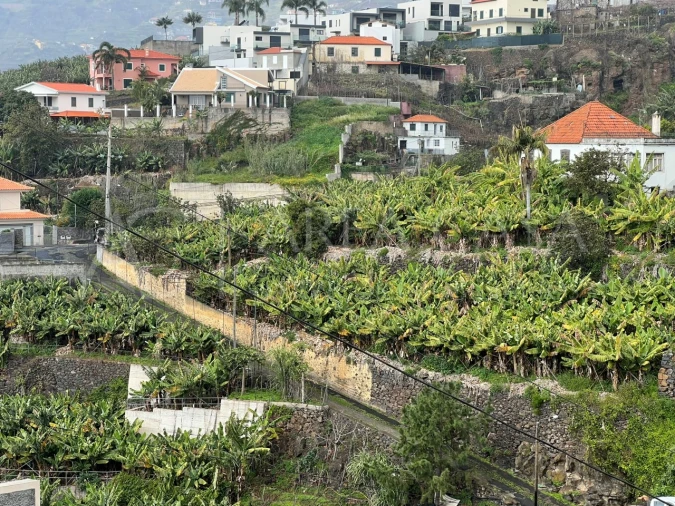 Quinta T3 para Venda em Estreito de Camara de Lobos Foto 19