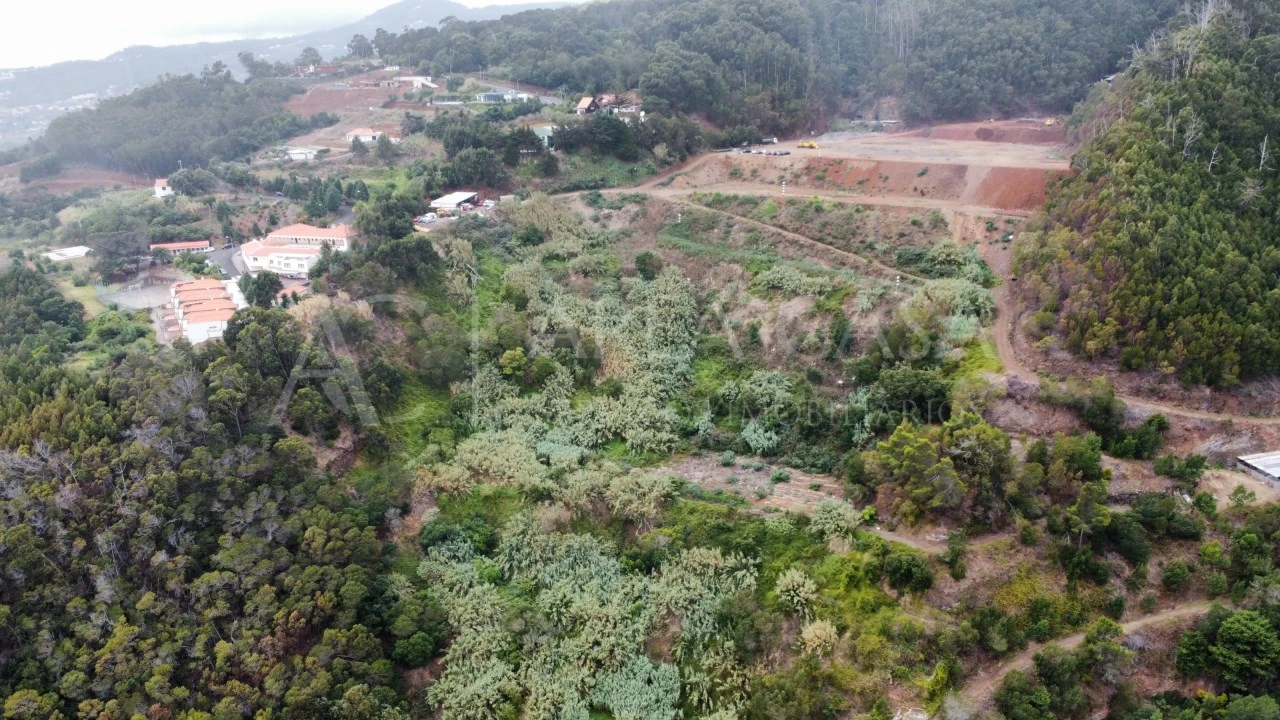 Terreno para Venda em Santa Cruz Foto 19