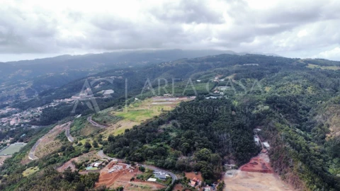 Terreno para Venda em Santa Cruz