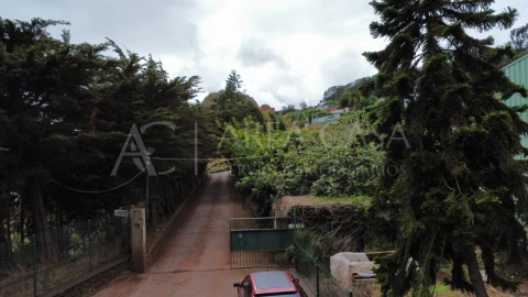 Terreno para Venda em Santa Cruz