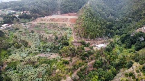 Terreno para Venda em Santa Cruz