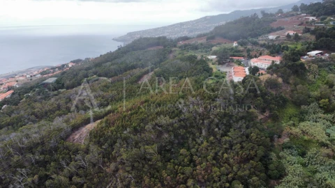 Terreno para Venda em Santa Cruz