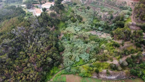 Terreno para Venda em Santa Cruz