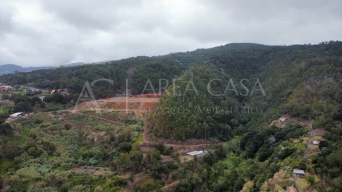 Terreno para Venda em Santa Cruz