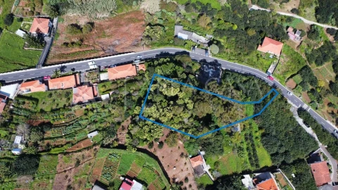 Terreno para Venda em Machico