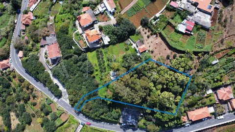 Terreno para Venda em Machico