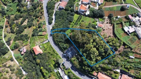 Terreno para Venda em Machico