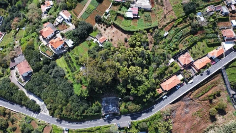 Terreno para Venda em Machico