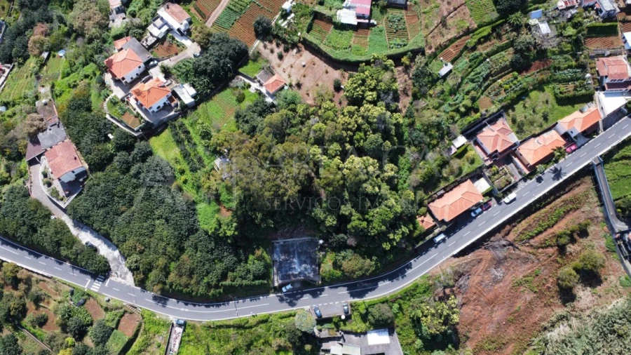 Terreno para Venda em Machico Foto 5