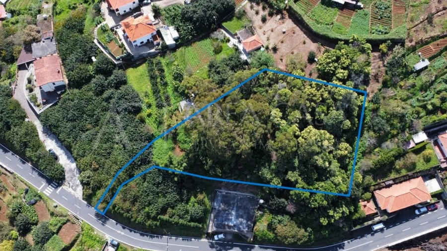 Terreno para Venda em Machico