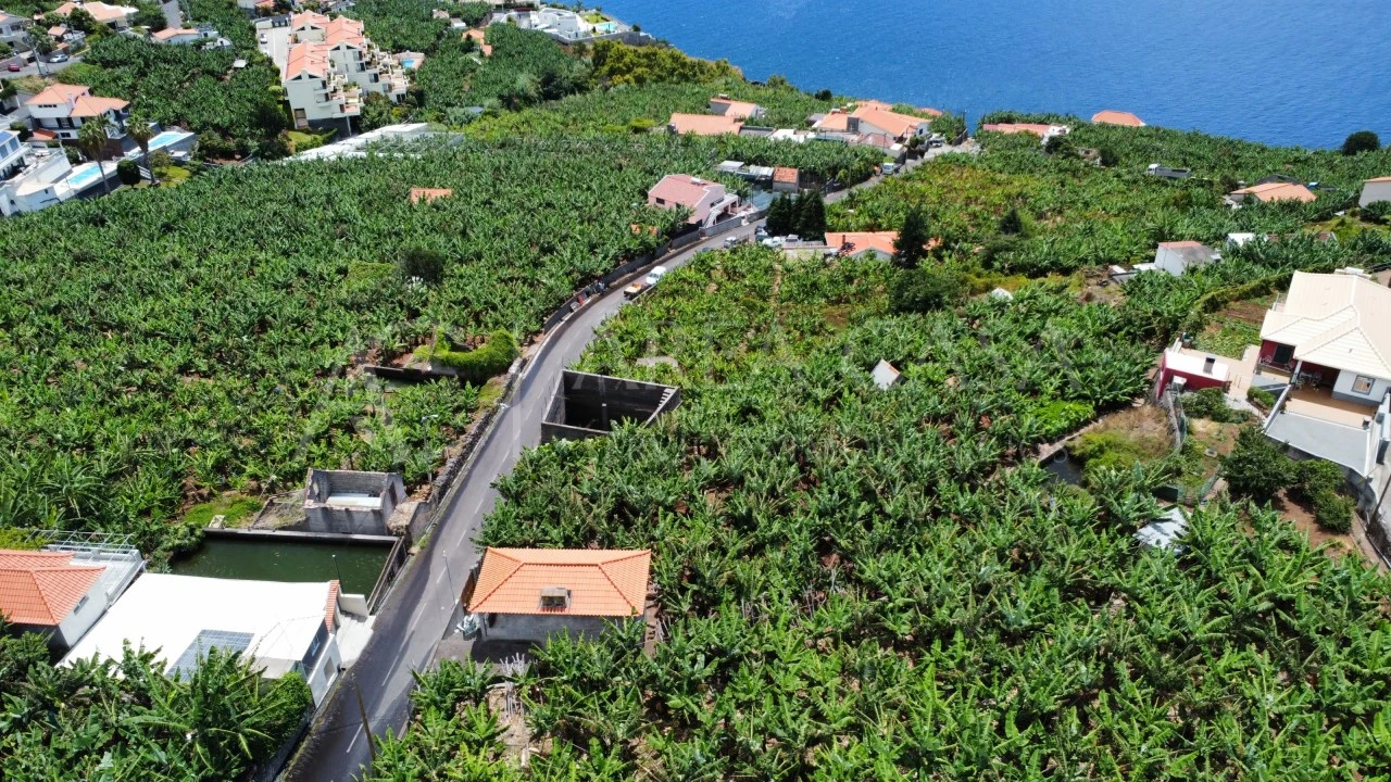 Terreno para Venda em Arco da Calheta Foto 18