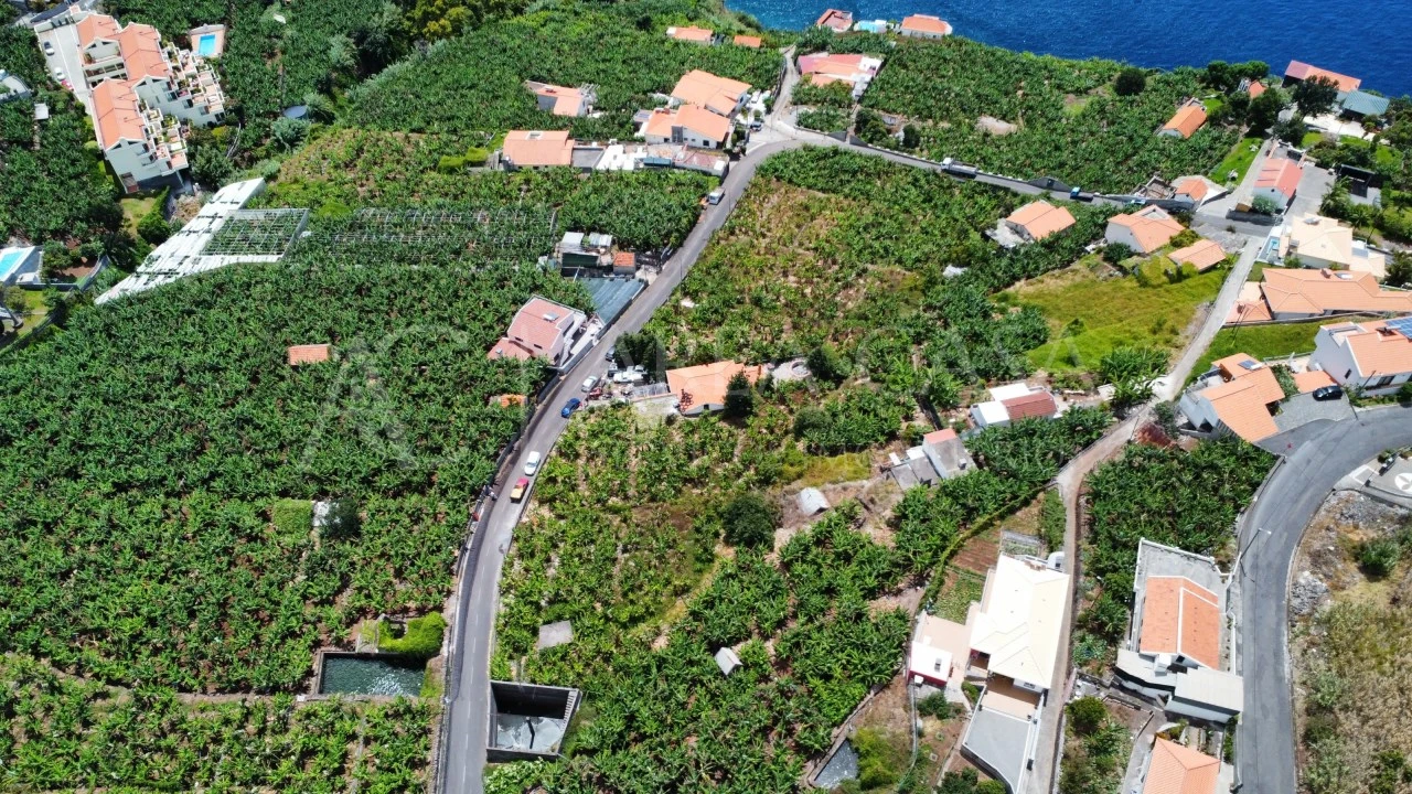 Terreno para Venda em Arco da Calheta Foto 19