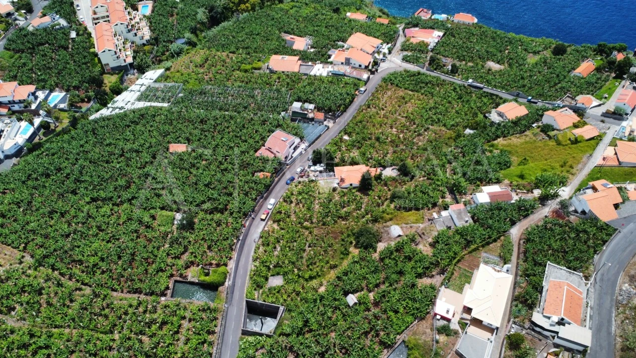 Terreno para Venda em Arco da Calheta Foto 20