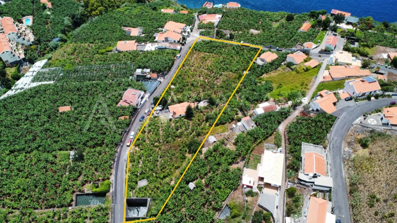 Terreno para Venda em Arco da Calheta Foto 23