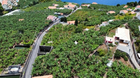 Terreno para Venda em Arco da Calheta