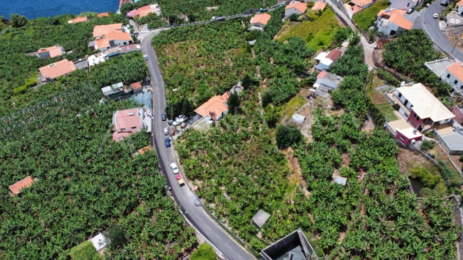 Terreno para Venda em Arco da Calheta Foto 5