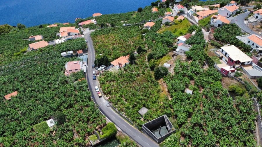 Terreno para Venda em Arco da Calheta Foto 10