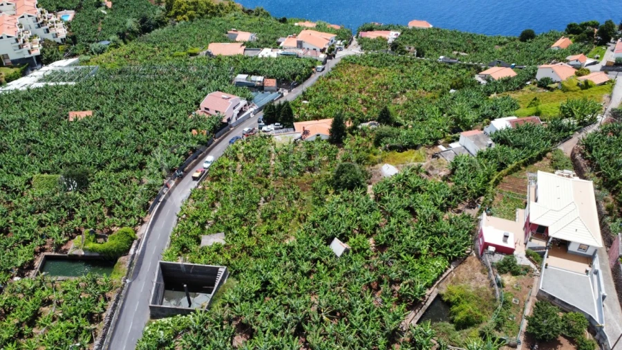 Terreno para Venda em Arco da Calheta Foto 12