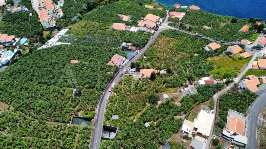 Terreno para Venda em Arco da Calheta Foto 20