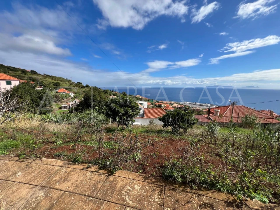 Terreno para Venda em Santa Cruz Foto 6