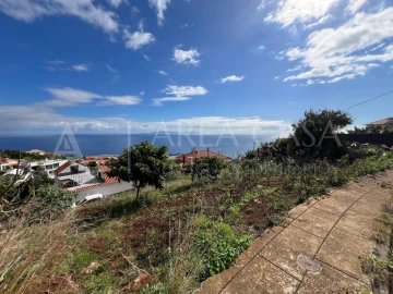 Terreno para Venda em Santa Cruz