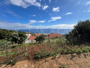 Terreno para Venda em Santa Cruz