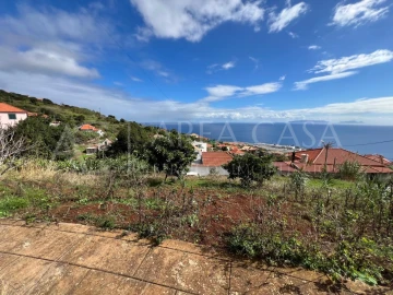 Terreno para Venda em Santa Cruz