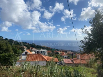 Terreno para Venda em Santa Cruz