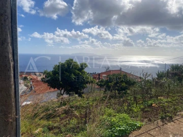 Terreno para Venda em Santa Cruz