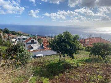 Terreno para Venda em Santa Cruz