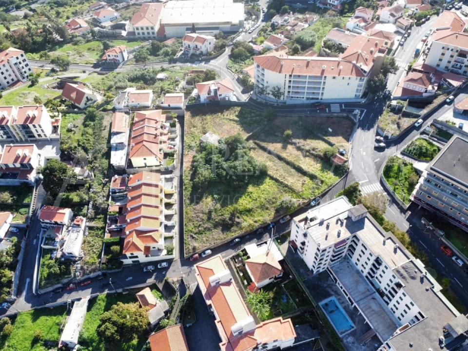 Terreno Agricola ou Rústico para Venda em Caniço Foto 4