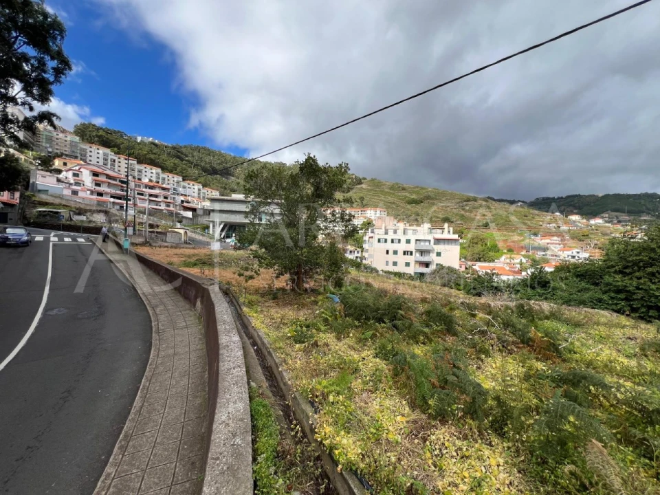 Terreno Agricola ou Rústico para Venda em Caniço Foto 9