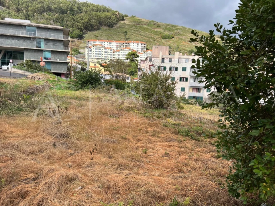 Terreno Agricola ou Rústico para Venda em Caniço Foto 10