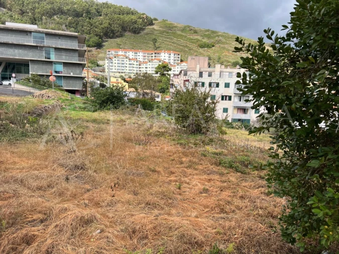 Terreno Agricola ou Rústico para Venda em Caniço Foto 10
