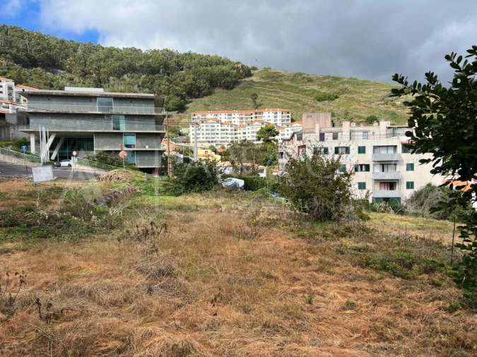 Terreno Agricola ou Rústico para Venda em Caniço Foto 11
